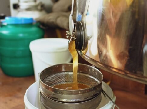 Honey flowing from a large stainless steel extractor into a filter in a beekeeping setup.