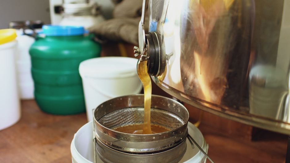 Canadian Beekeepers Face Economic Uncertainty as U.S. Tariffs Sting Honey Exports Honey flowing from a large stainless steel extractor into a filter in a beekeeping setup.