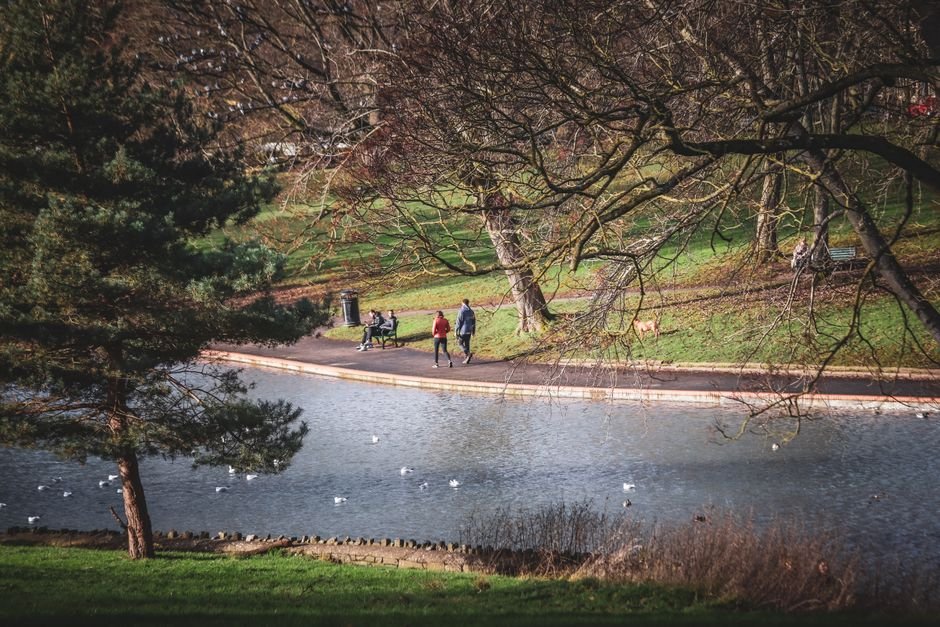 Denver Woman’s Viral Debut on Roller Skates Captivates Online Audiences People enjoying a leisurely walk by a pond in a Bristol park. Scenic view with trees and ducks.
