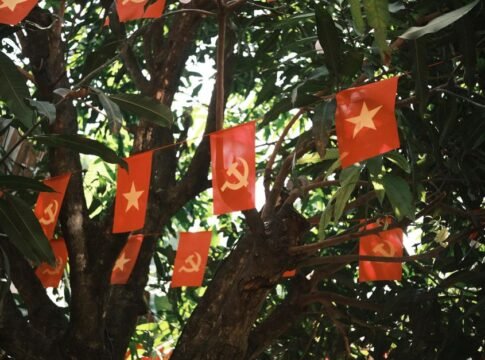 Red flags featuring stars and hammer and sickle hanging among tree branches softly lit by sunlight.
