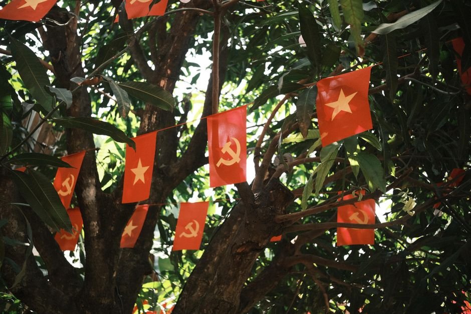 Tamil Nadu Byelections: CPI(M) State Committee to Decide Stance on September 13 Red flags featuring stars and hammer and sickle hanging among tree branches softly lit by sunlight.