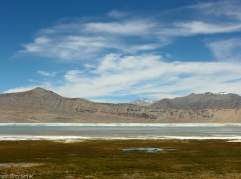Tso Kar lake on the way to Sarchu