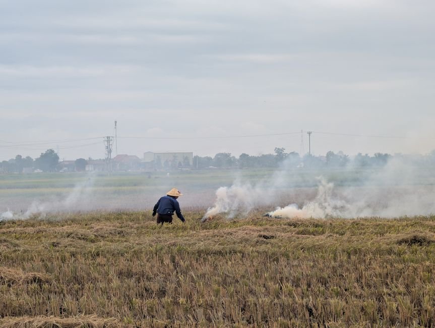 Punjab’s Patiala Reviews Stubble Burning Prevention Measures as CAQM Team Inspects A farmer in a field setting fires to crop residue under a cloudy sky, producing smoke.