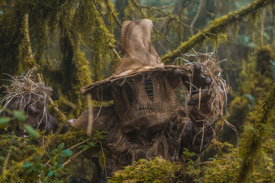 Behind the Magic: 15 Revealing Secrets of Disney’s ‘Halloweentown’ Franchise A mysterious scarecrow in a haunting forest setting, perfect for Halloween themes.