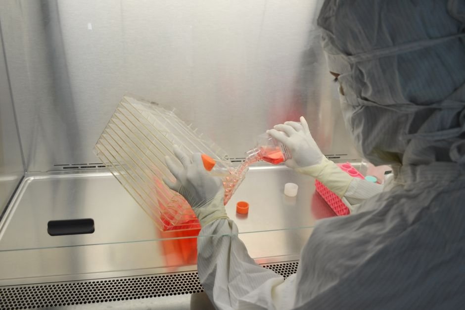 Bengaluru Infant Undergoes Life-Saving Gene Therapy for Spinal Muscular Atrophy A scientist in full protective gear working in a laboratory on research with cell cultures.