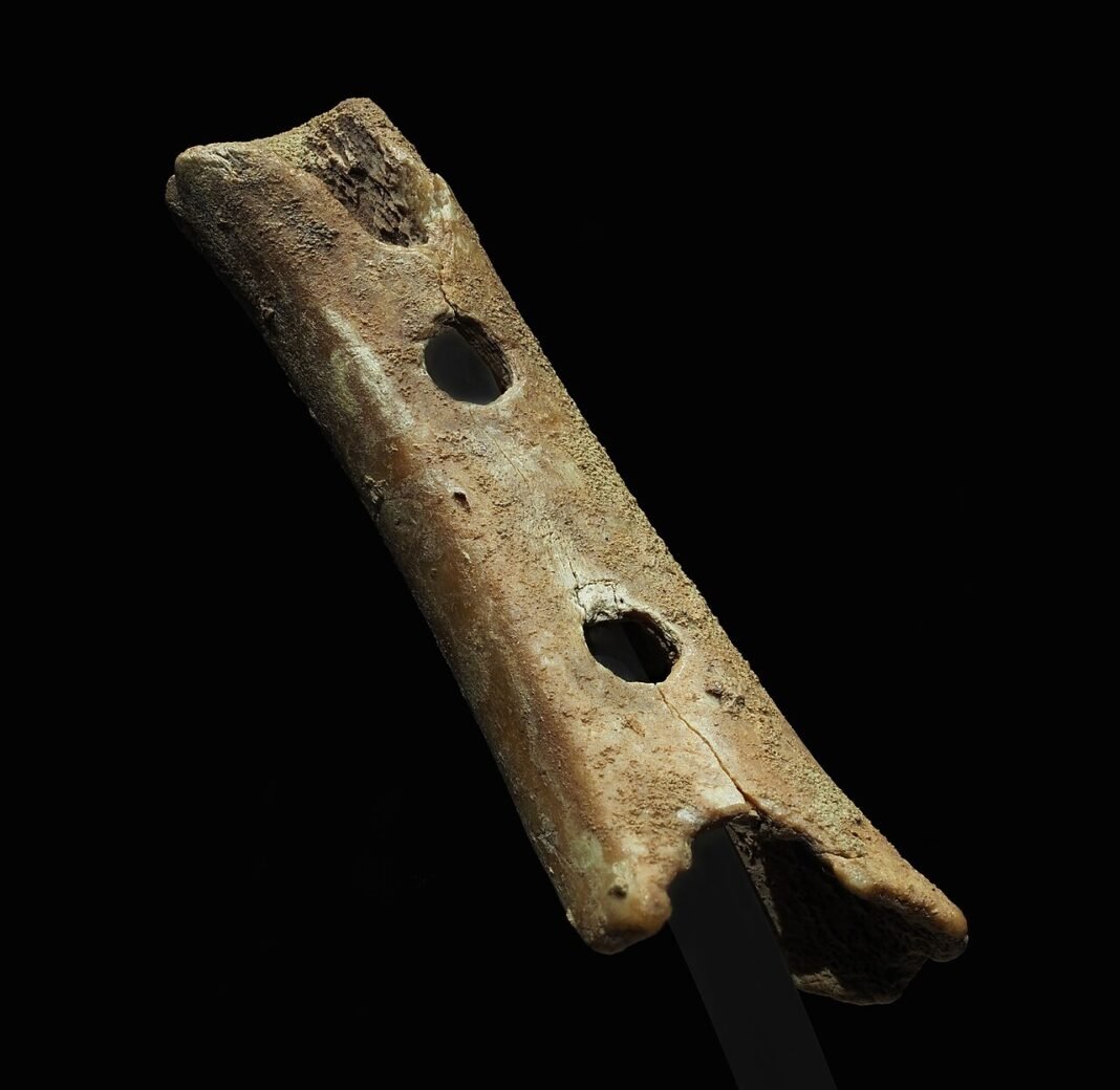 Bee Entertainment Showcases Vietnamese Horror ‘Arithmadtic’ at Busan Film Market Divje Babe flute (alleged Late Pleistocene flute) dating to 43100 ± 700 BP. National Museum of Slovenia. Measurements: 133.6 mm (5.26 in) long