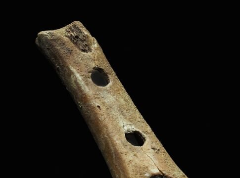 Divje Babe flute (alleged Late Pleistocene flute) dating to 43100 ± 700 BP. National Museum of Slovenia. Measurements: 133.6 mm (5.26 in) long