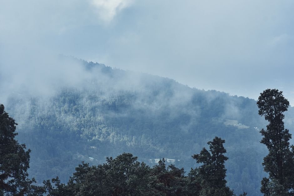 Himachal Pradesh braces for snowfall and rain; Yellow alert issued Serene misty view of forested mountains in Manali, Himachal Pradesh, India.
