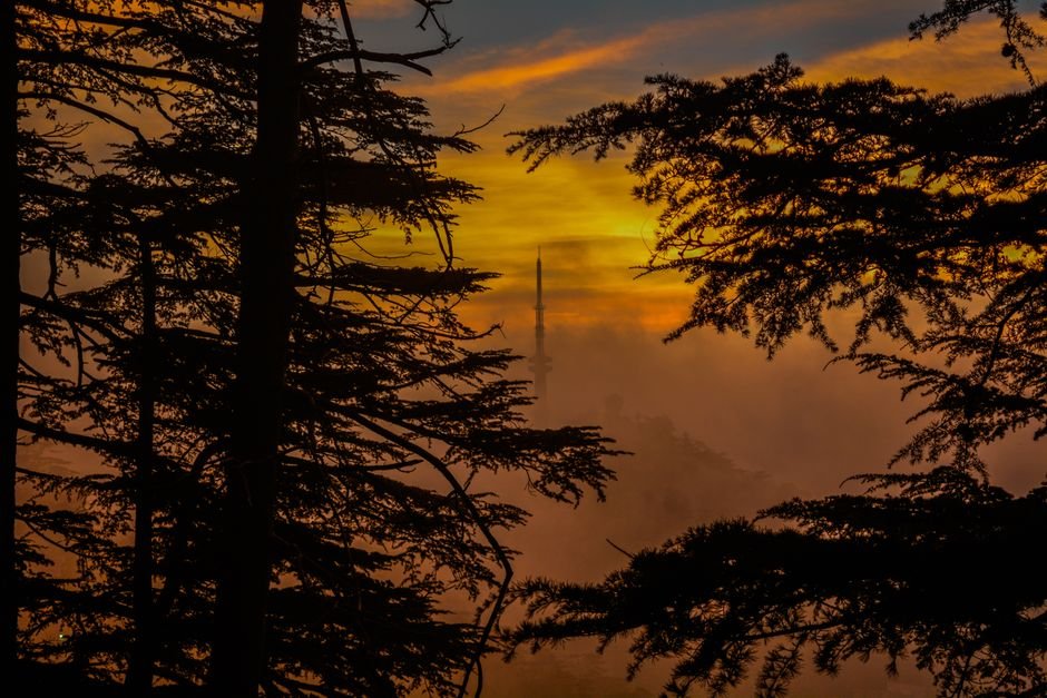 Shimla’s Historic Chimneys: Sentinels of a Bygone Winter Era Serene sunset view with a tower silhouette framed by trees in Shimla, India.