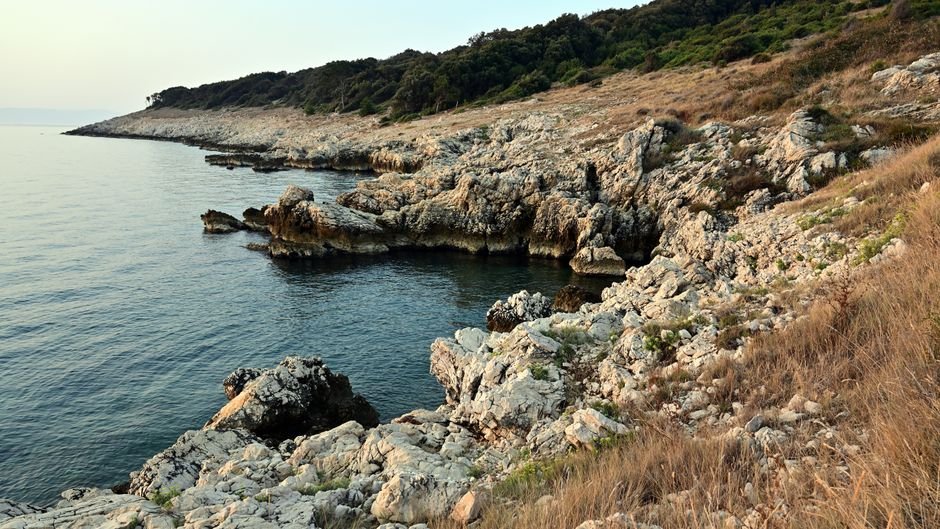 Austrian Filmmaker Lukas Marxt’s Documentary Explores Wildfires, Sparks Dialogue Stunning rocky shoreline at Duga Luka, Croatia, showcasing natural beauty and tranquility.
