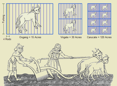 This derivative work depicts six historical units of land measurement: the furlong, the rod, the oxgang, the virgate, the carucate, and the acre. This work is a derivative of Ploughmen.--Fac-simile o… This derivative work depicts six historical units of land measurement: the furlong, the rod, the oxgang, the virgate, the carucate, and the acre. This work is a derivative of Ploughmen.--Fac-simile o…